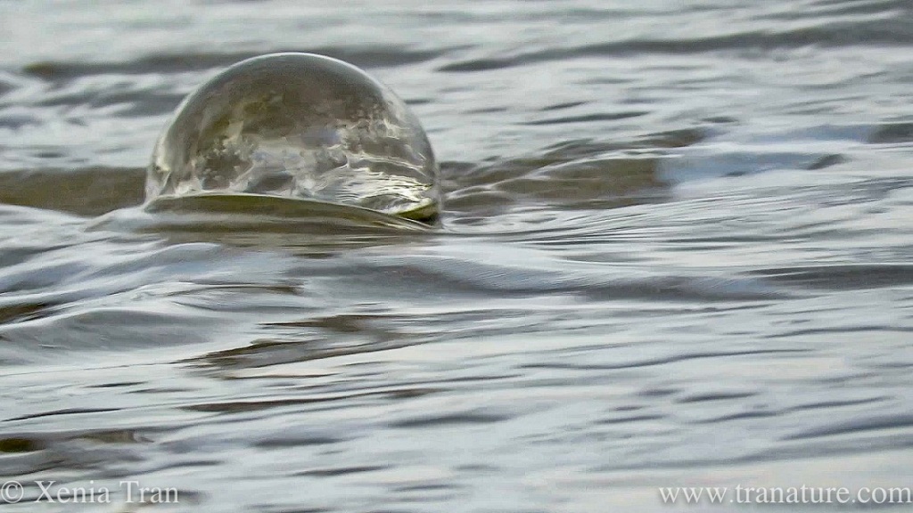 a lensball in the surf, mirroring the sea and sky in reverse
