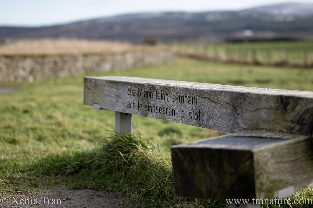 a wooden memorial bench at Culloden with Gaelic inscription