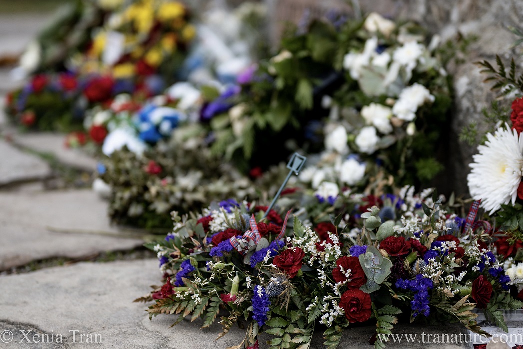 close up of wreaths laid at Culloden Cairn on the 276th anniversary of the battle