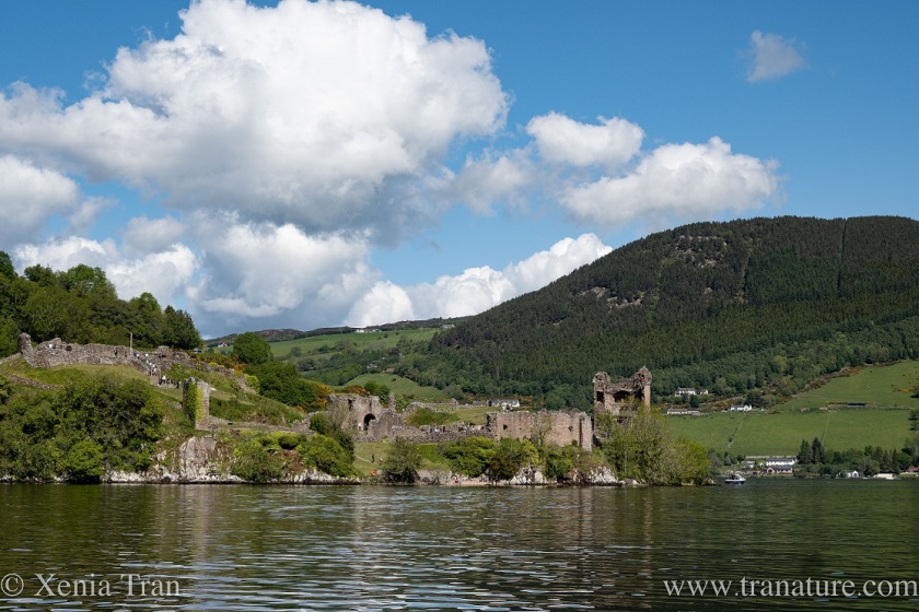 Urquhart Castle seen from the water