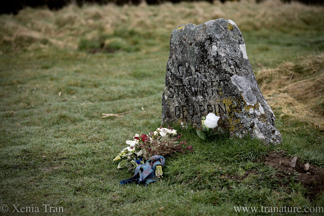 Stewart clan stone at Culloden with a bouquet of flowers